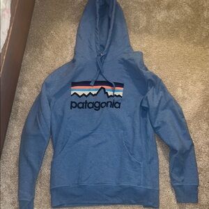 Patagonia Blue Sweatshirt with Mountain Graphic